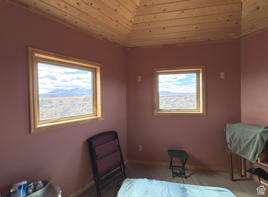 Bedroom featuring baseboards and carpet flooring