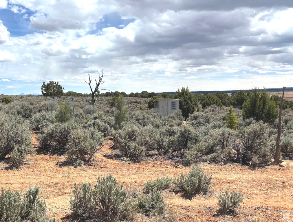 View of local wilderness