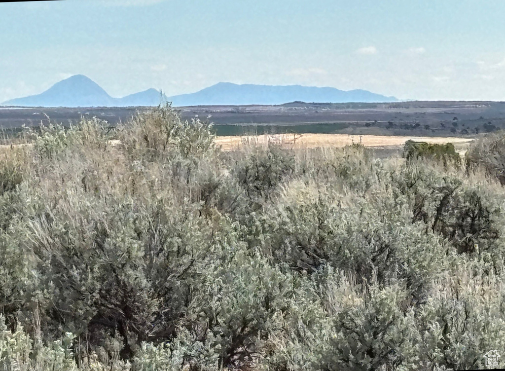 View of mountain backdrop