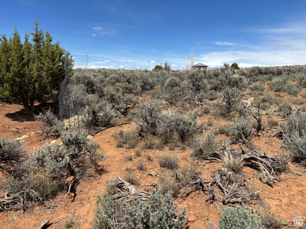View of local wilderness