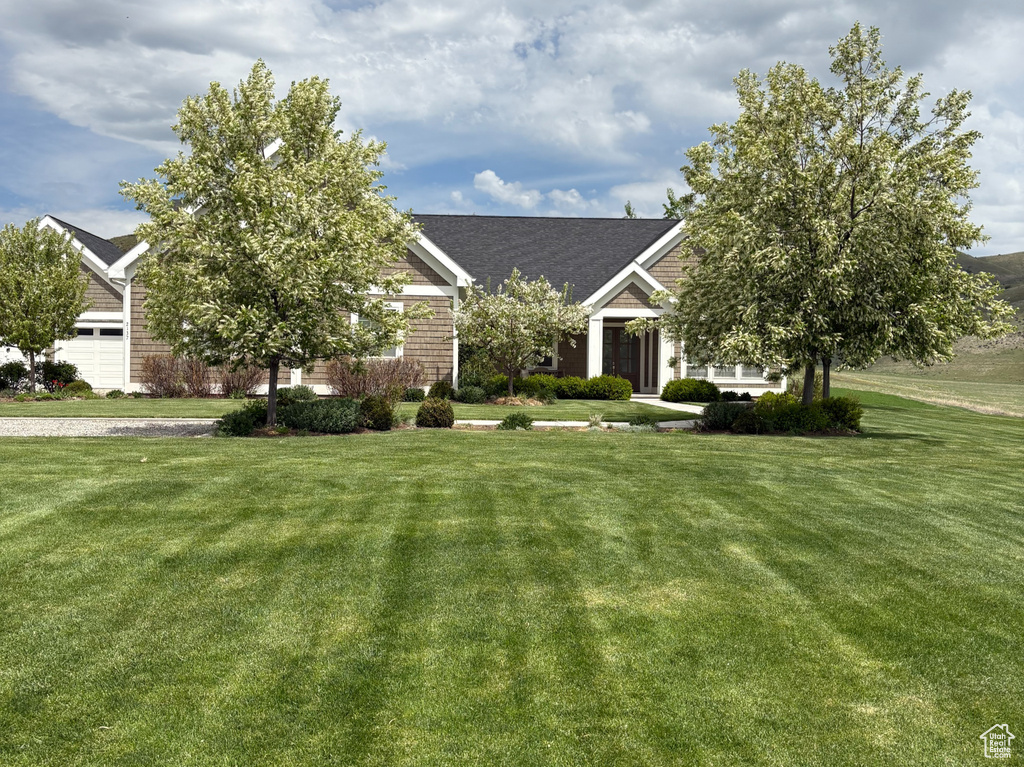 View of grassy yard