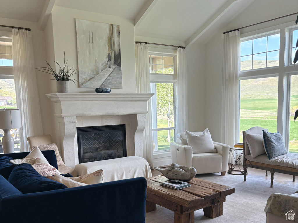 Living area with a fireplace, wood finished floors, and a chandelier