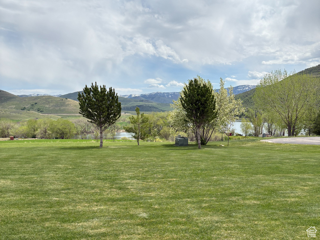 View of green lawn with a mountain view