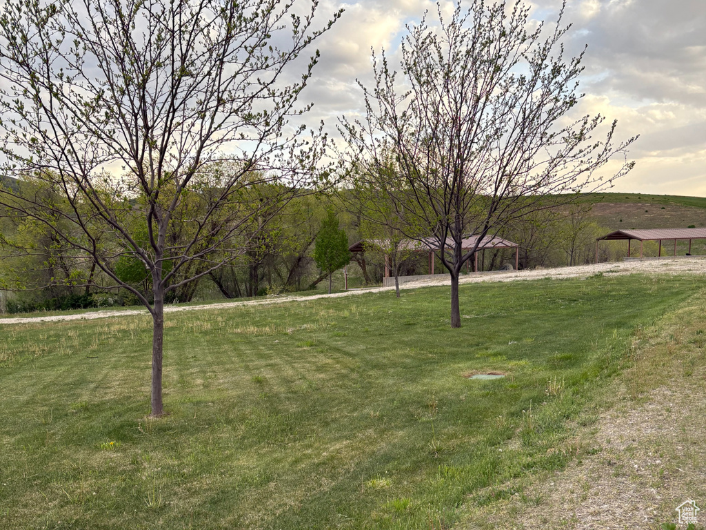 View of grassy yard