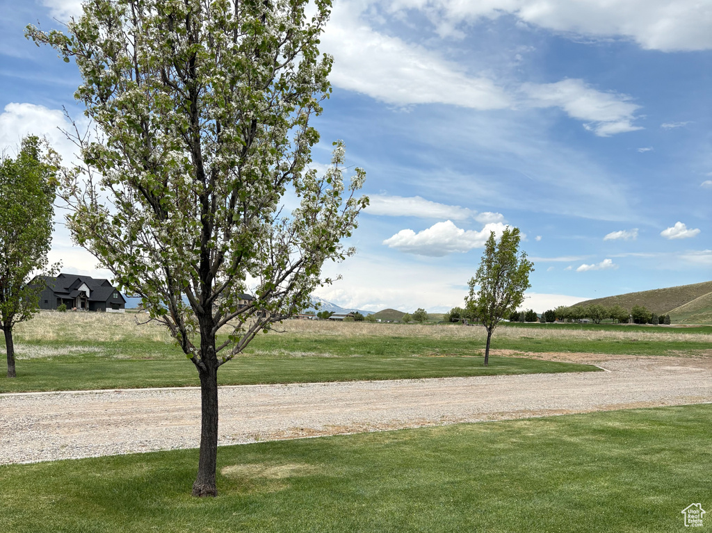 View of green lawn