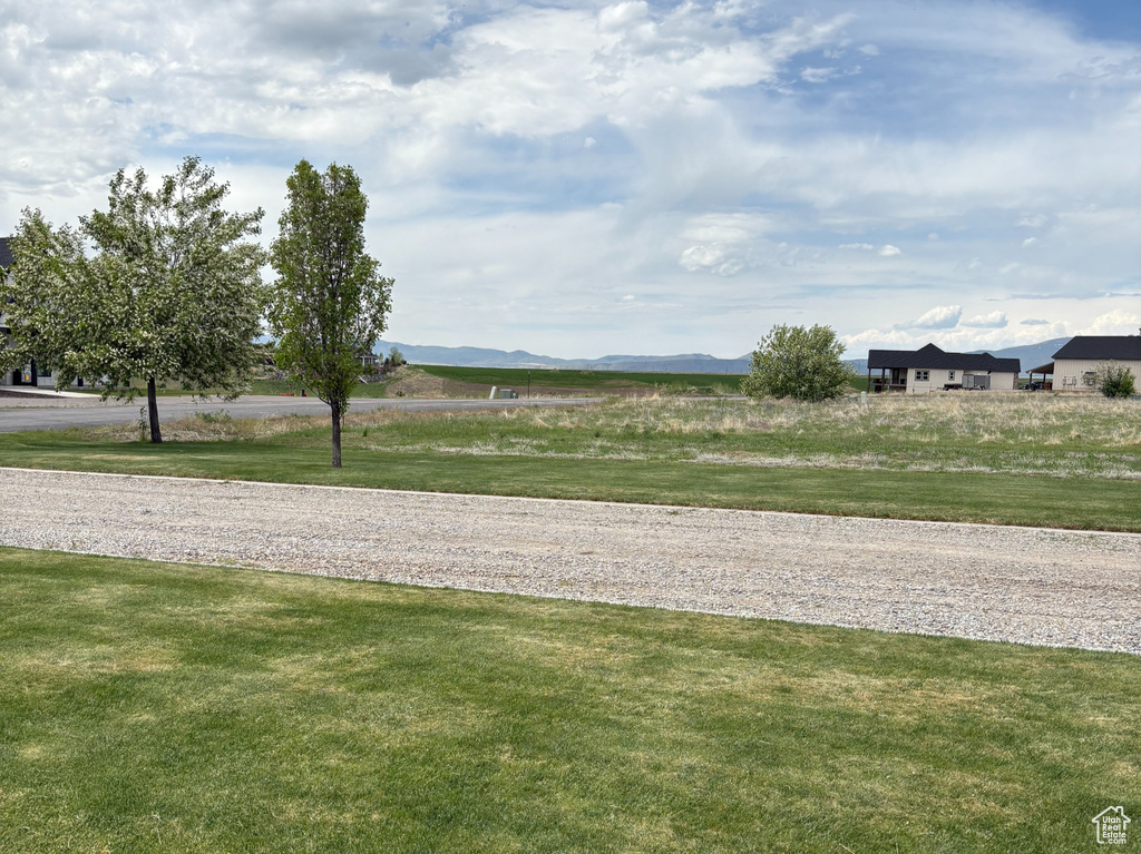 View of grassy yard