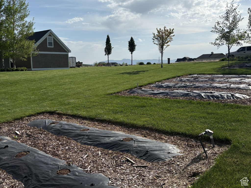 View of grassy yard with a barn and an outbuilding