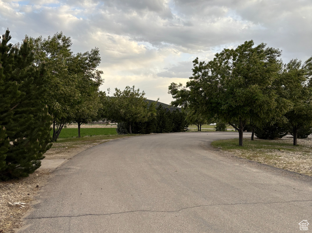 View of asphalt road