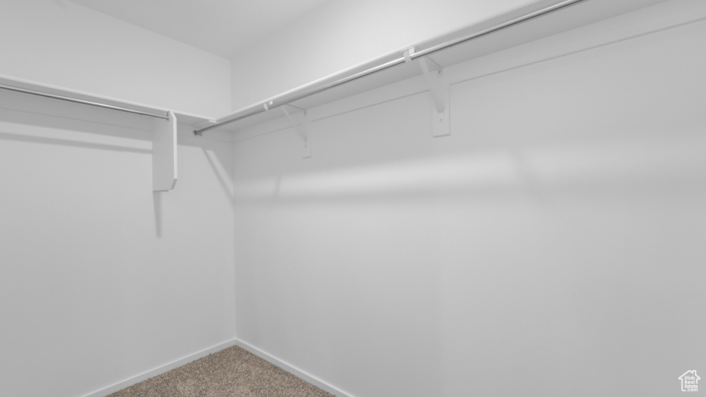 Spacious closet with carpet floors
