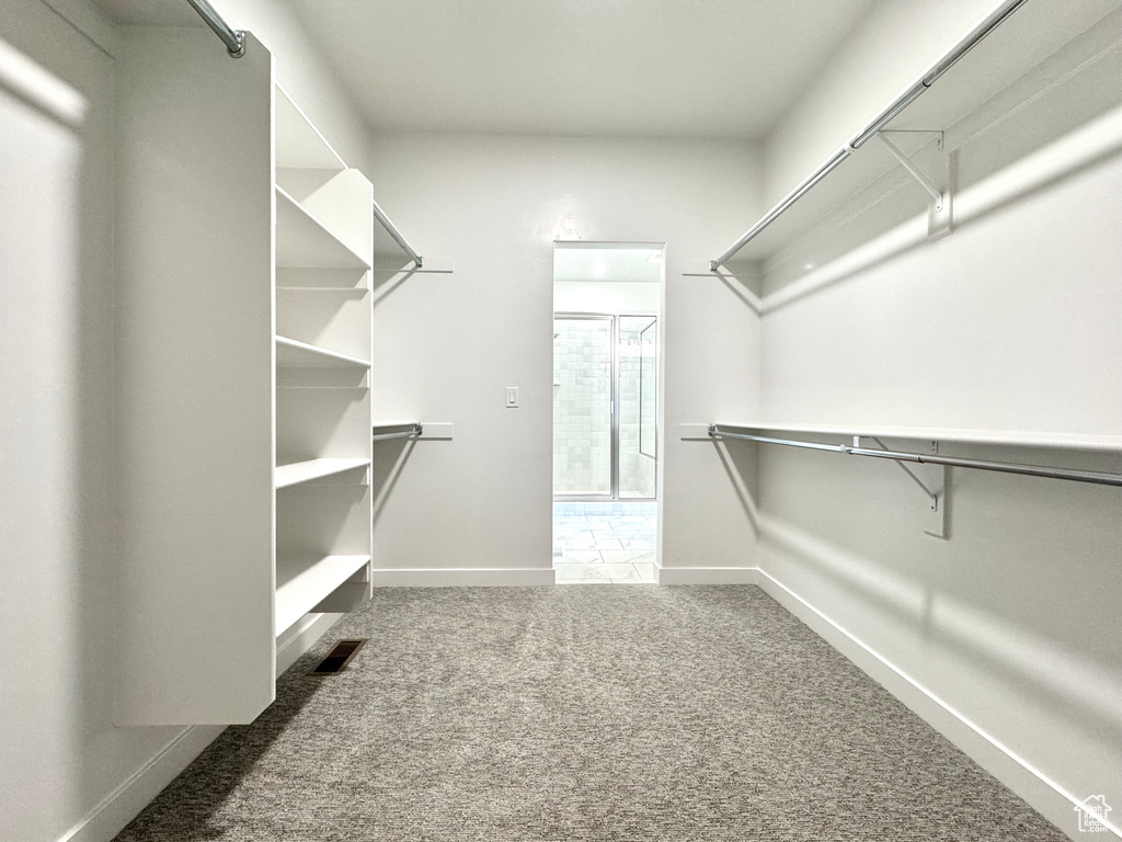 Spacious closet featuring carpet flooring