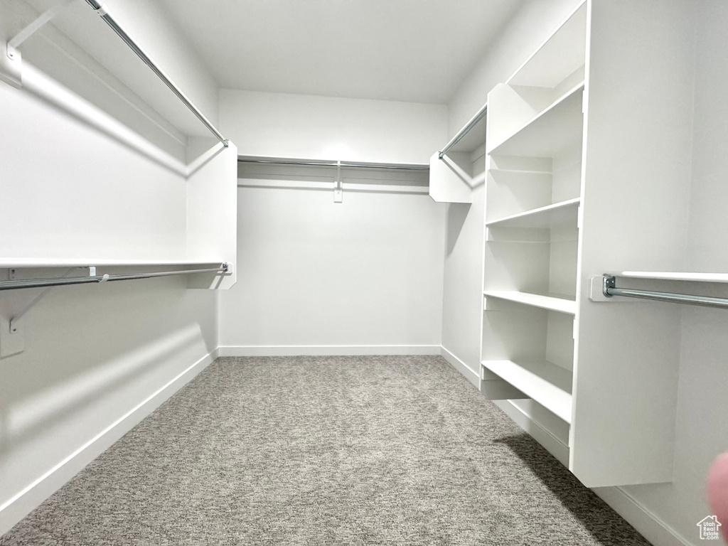 Spacious closet featuring carpet floors