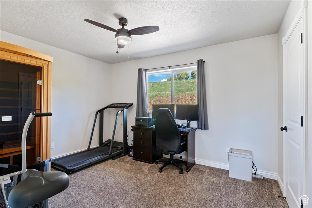 Carpeted office space with ceiling fan, baseboards, and a textured ceiling