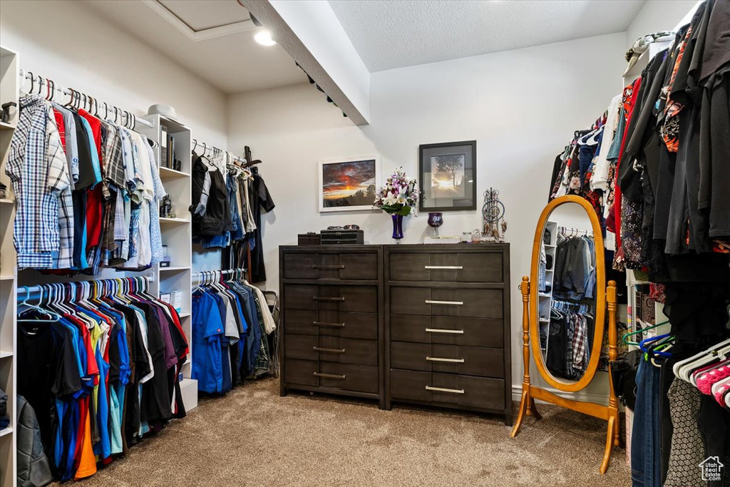 Spacious closet featuring carpet flooring and attic access