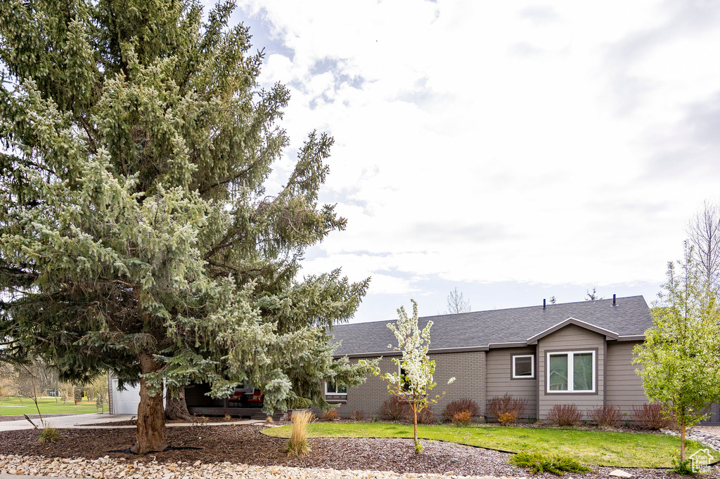 View of front facade with a front lawn, a shingled roof, and concrete driveway