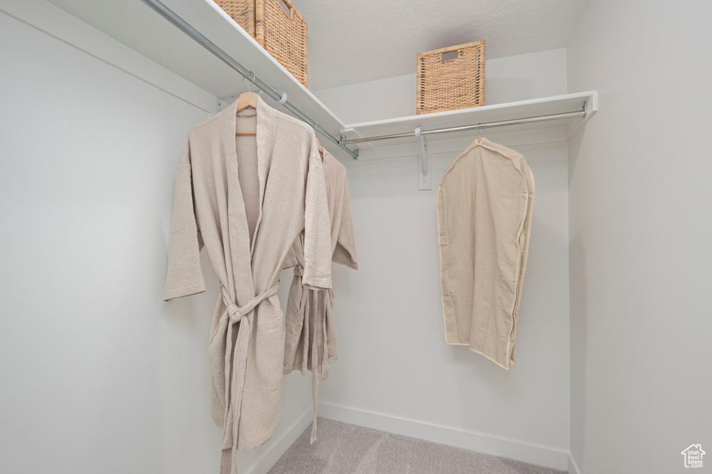 Walk in closet with carpet
