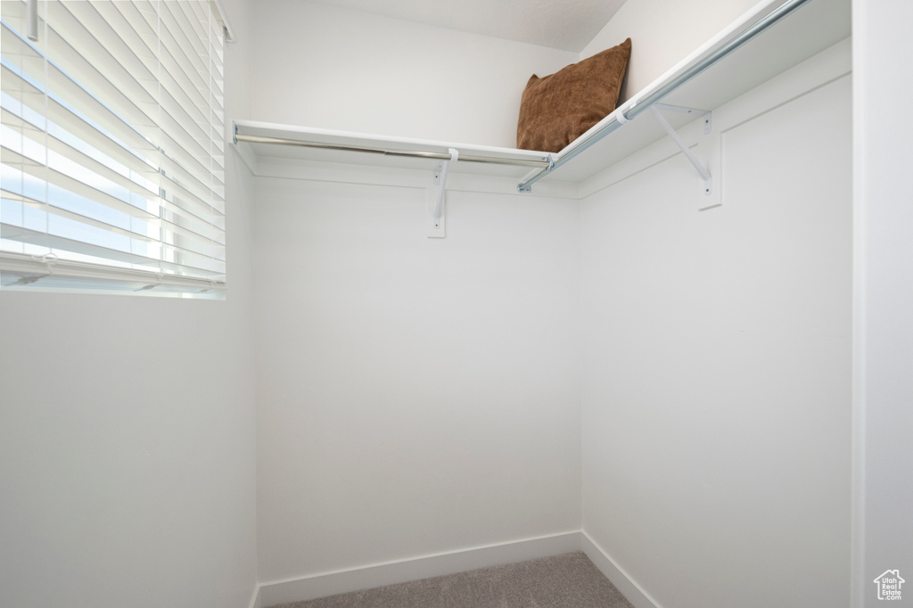 Spacious closet with carpet