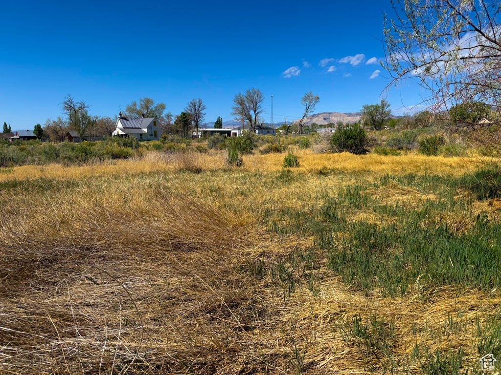 View of local wilderness