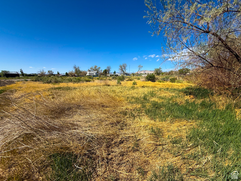 View of nature