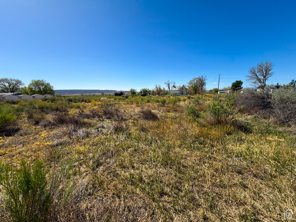 View of undeveloped land