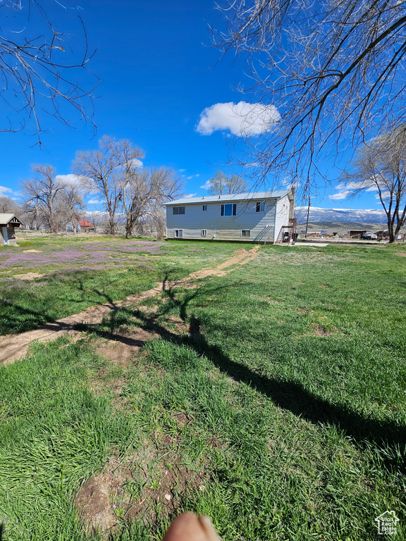 View of grassy yard