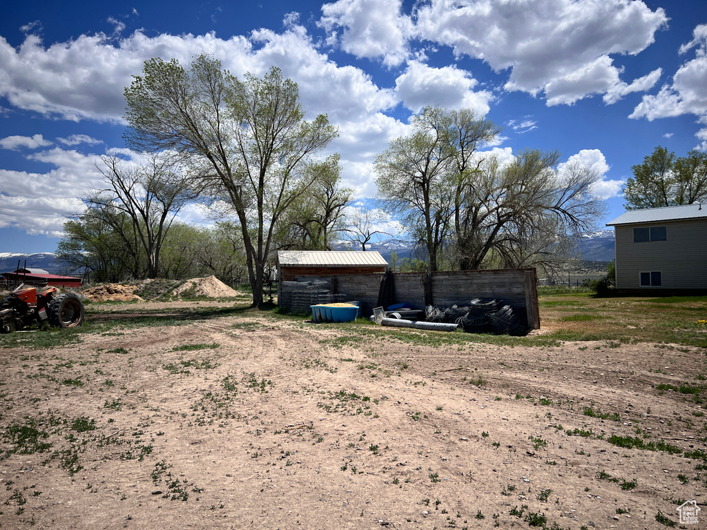 View of yard featuring driveway