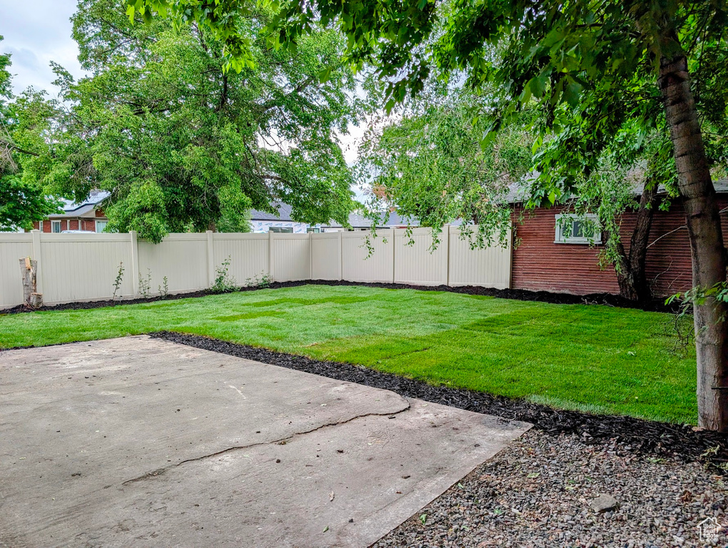 View of yard with a patio