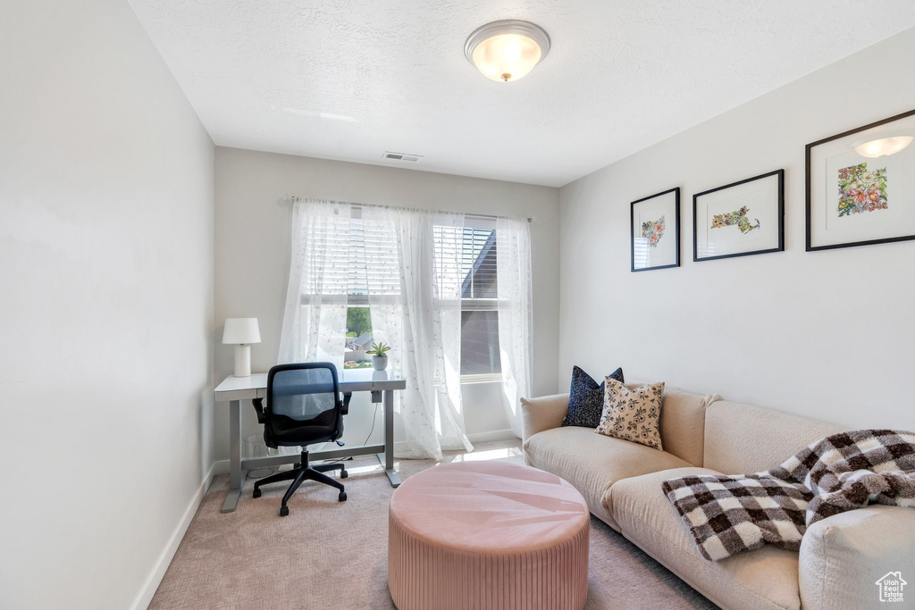 Office space featuring light colored carpet and baseboards