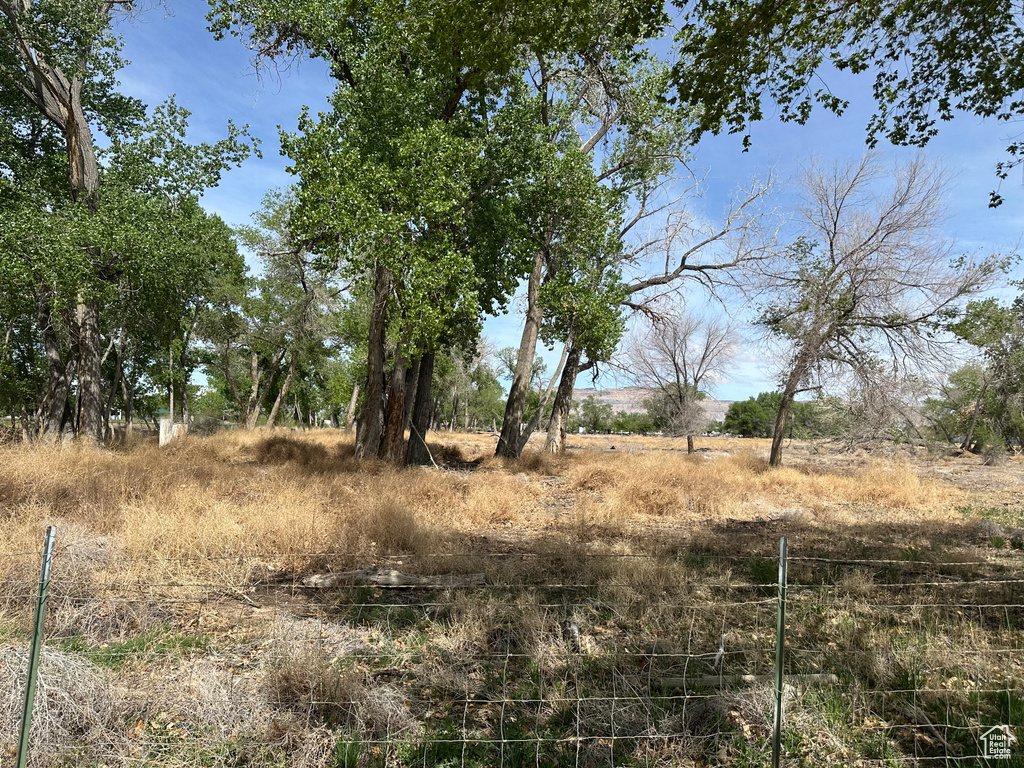 View of undeveloped land