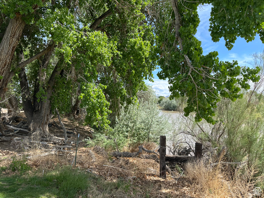 View of undeveloped land