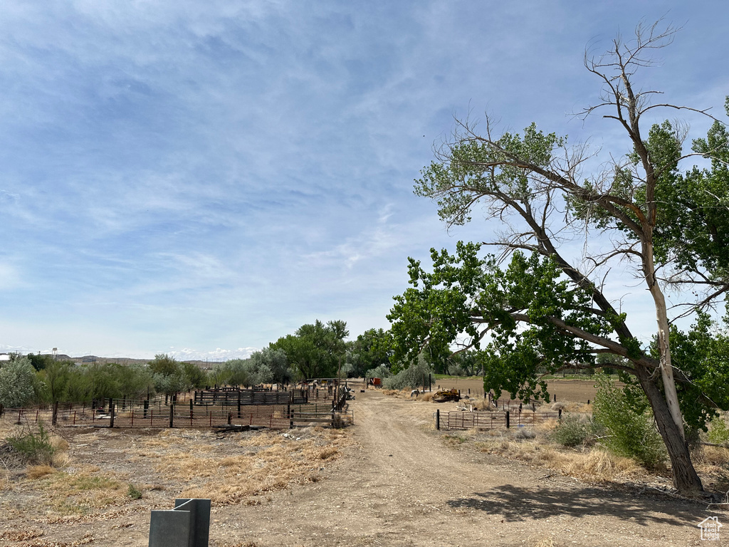 View of nature with rural landscape
