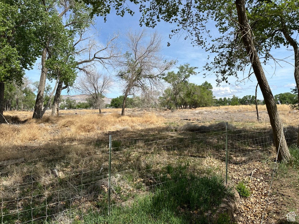 View of local wilderness featuring rural landscape