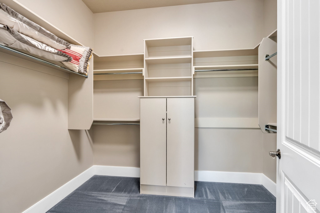 Walk in closet with dark colored carpet