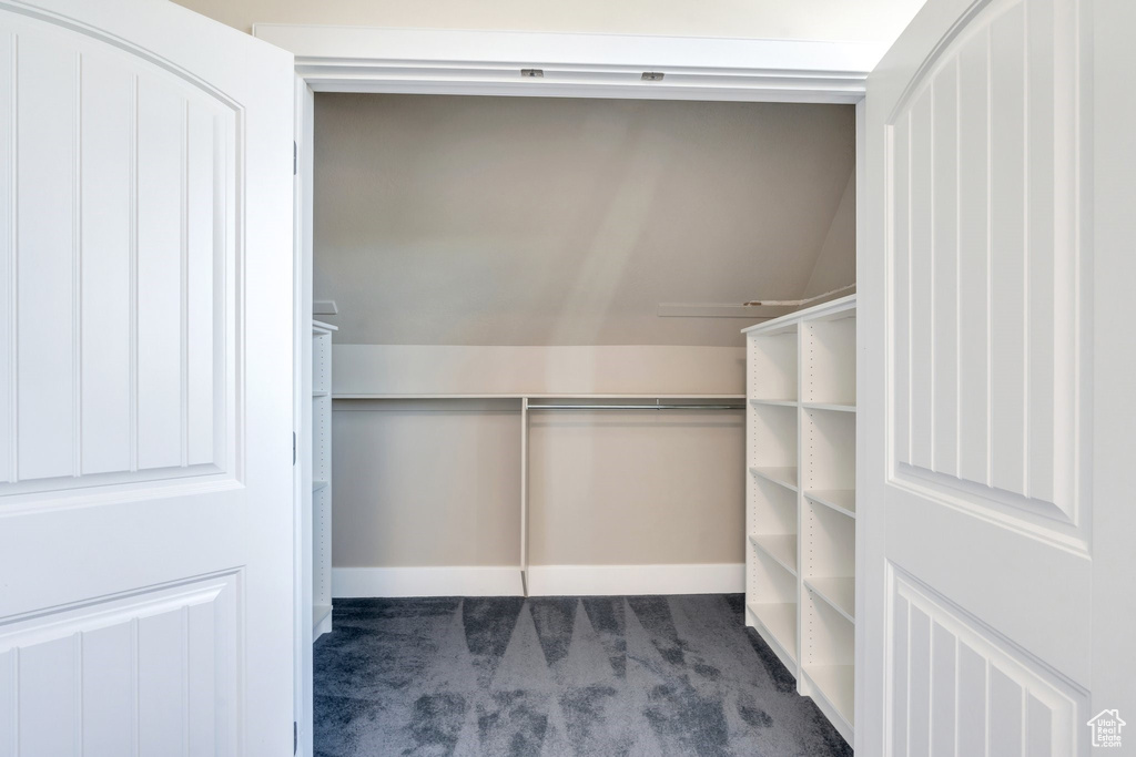 Spacious closet with carpet floors and vaulted ceiling