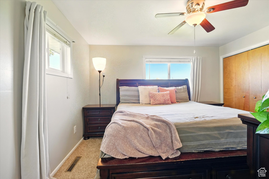 Bedroom featuring multiple windows, baseboards, carpet flooring, and a closet