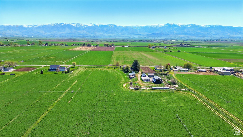 View of rural area with rows of crops and a mountainous background