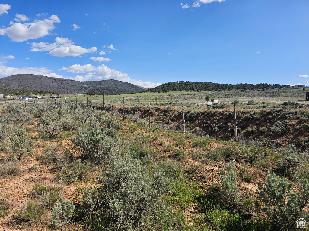 Mountain view with rural landscape