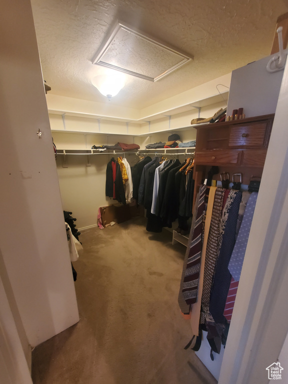 Walk in closet with carpet and attic access