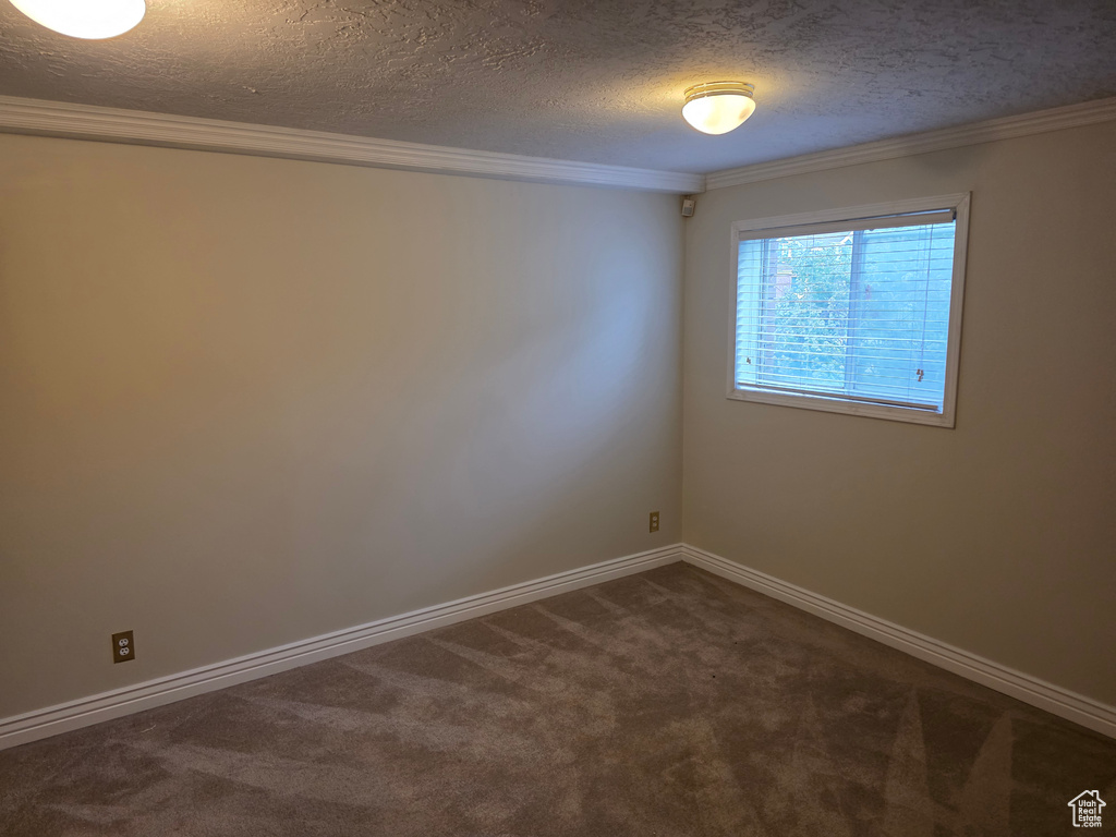 Empty room featuring a textured ceiling, crown molding, dark colored carpet, and baseboards