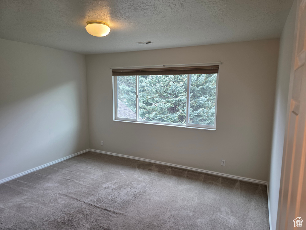 Carpeted empty room featuring a textured ceiling and baseboards