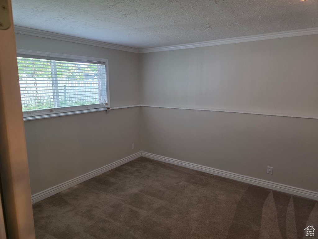 Spare room featuring a textured ceiling, carpet, crown molding, and baseboards