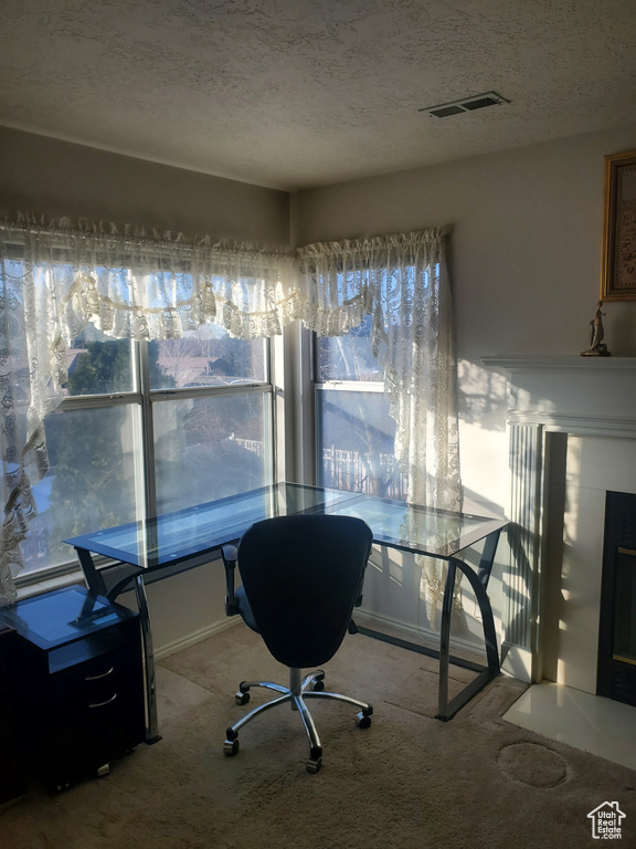 Carpeted office space with a textured ceiling