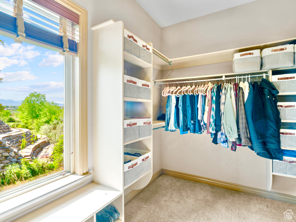 Walk in closet featuring carpet