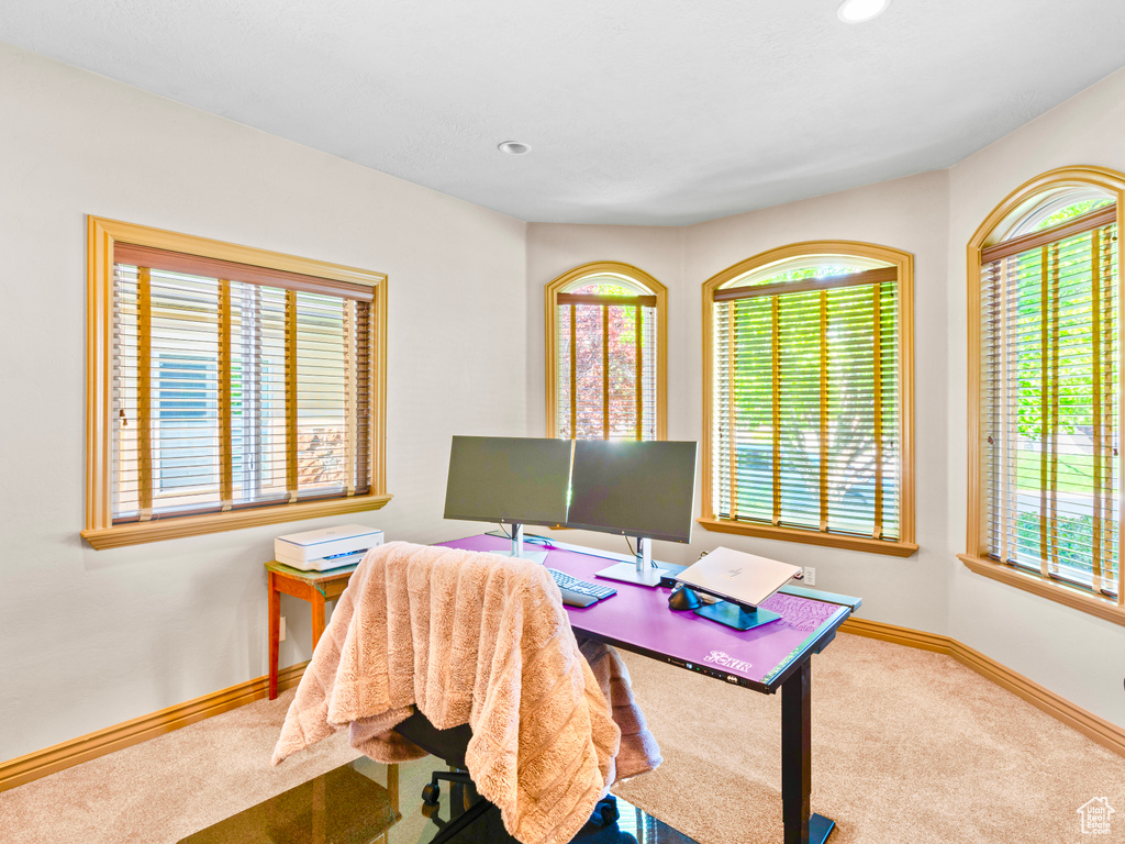 Carpeted office space featuring baseboards and recessed lighting
