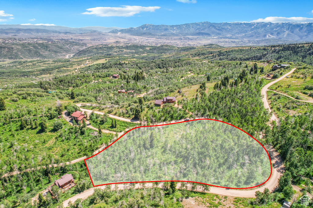 Aerial overview of property's location with a mountainous background, a heavily wooded area, and property parcel outlined