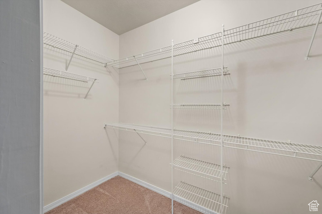 Walk in closet featuring carpet