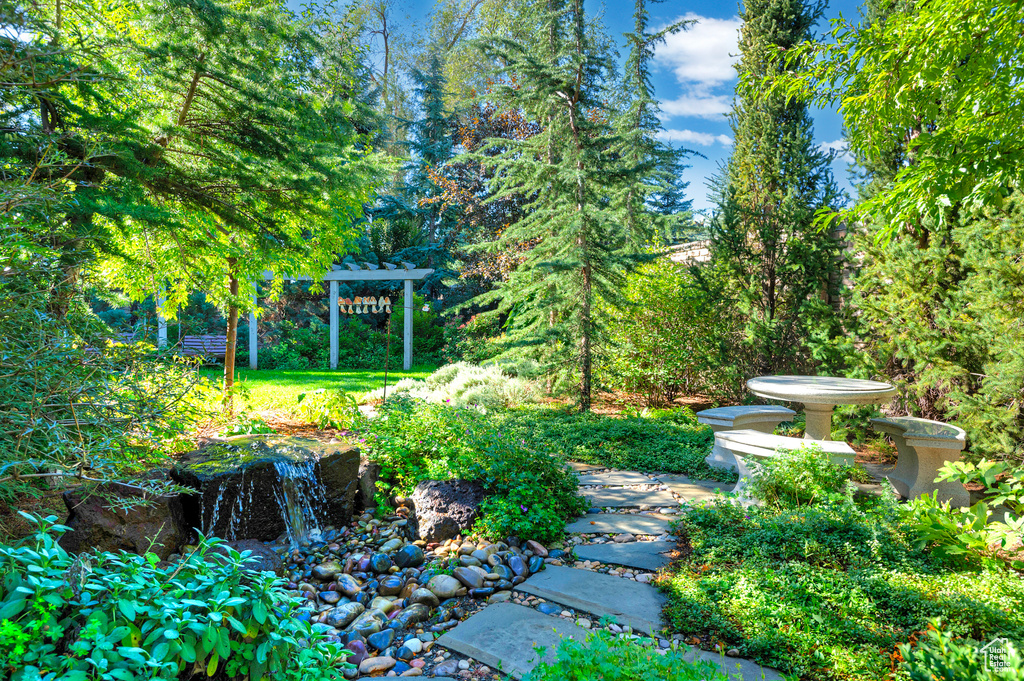View of yard featuring a pergola