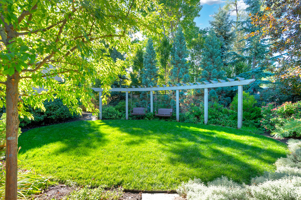 View of grassy yard
