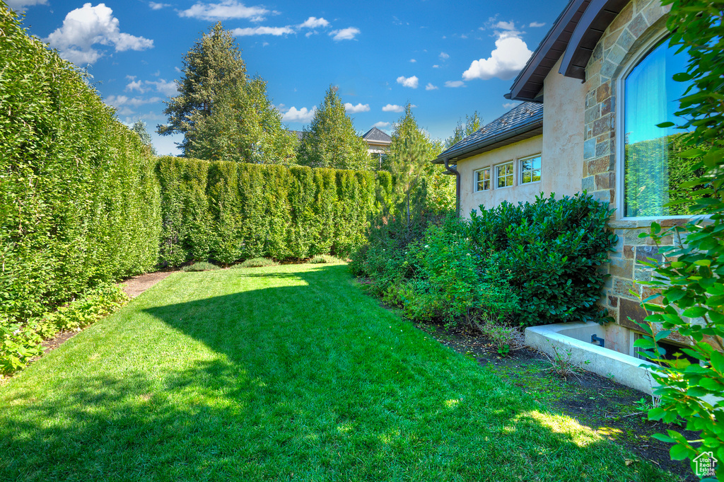 View of grassy yard