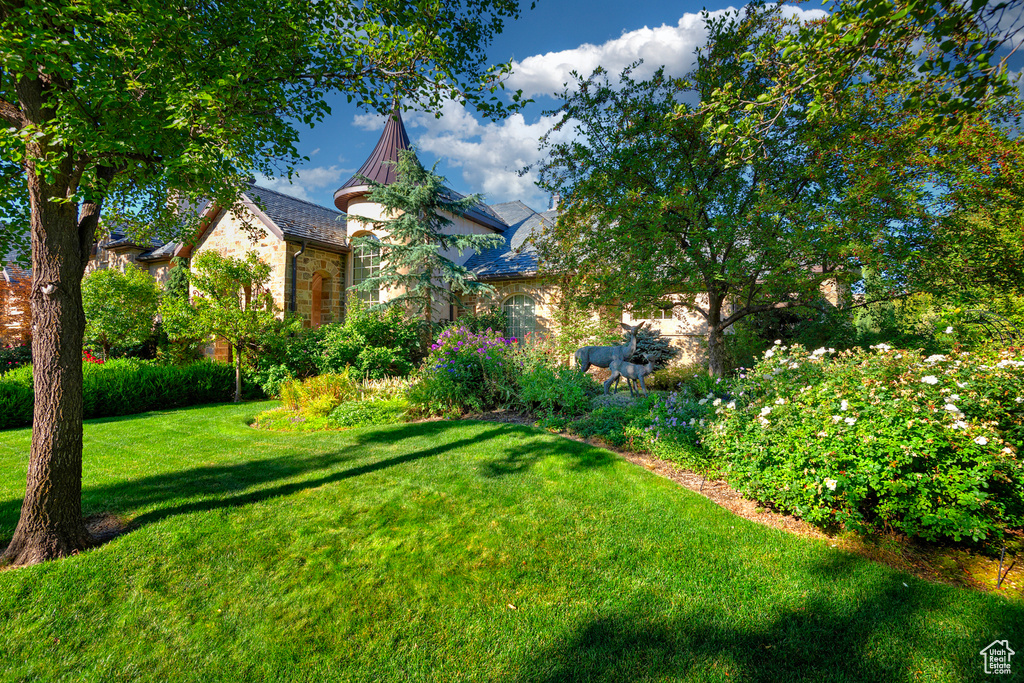 View of green lawn