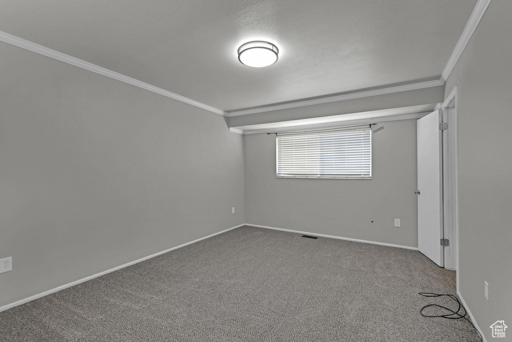 Unfurnished room with crown molding, carpet flooring, and baseboards